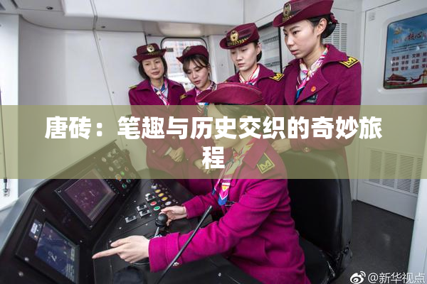唐砖：笔趣与历史交织的奇妙旅程