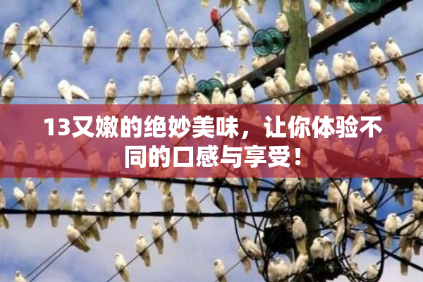 13又嫩的绝妙美味，让你体验不同的口感与享受！