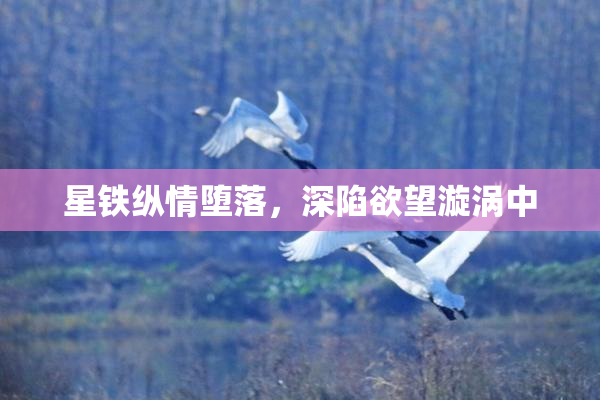 星铁纵情堕落，深陷欲望漩涡中