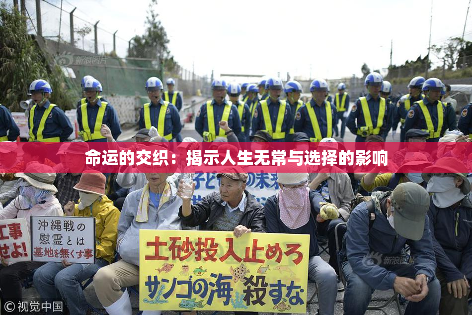 命运的交织：揭示人生无常与选择的影响