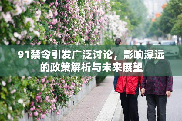 91禁令引发广泛讨论，影响深远的政策解析与未来展望
