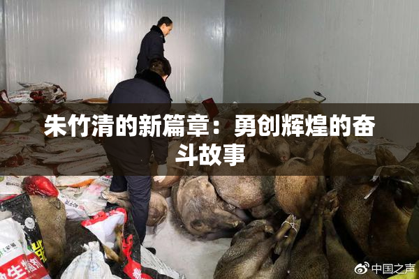 朱竹清的新篇章：勇创辉煌的奋斗故事