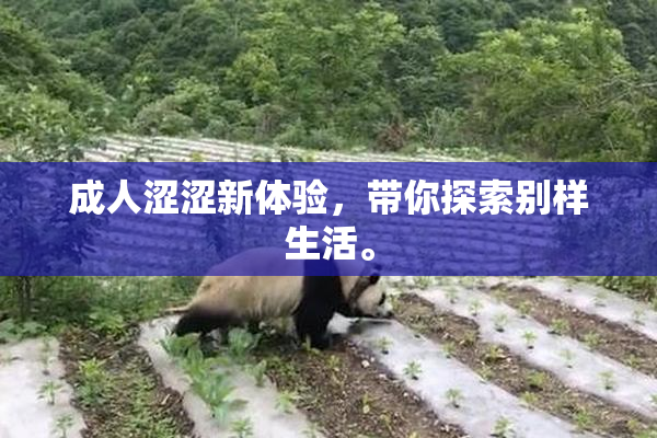 成人涩涩新体验，带你探索别样生活。