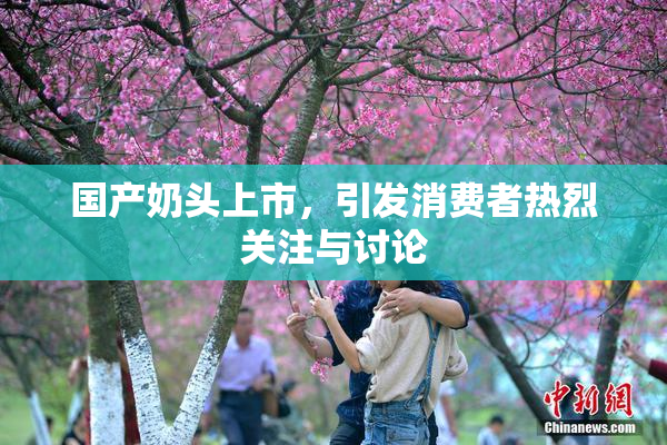 国产奶头上市，引发消费者热烈关注与讨论