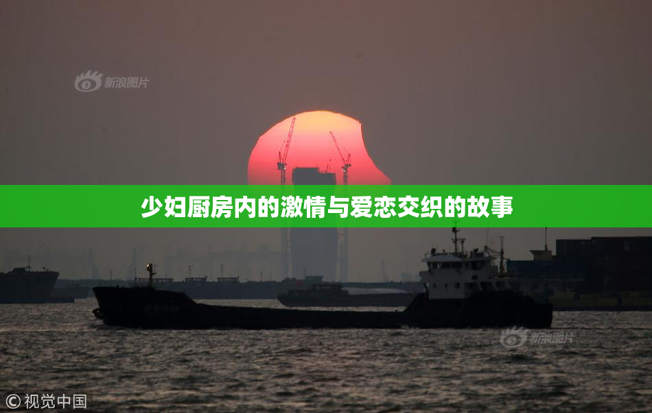 少妇厨房内的激情与爱恋交织的故事