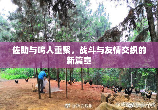 佐助与鸣人重聚，战斗与友情交织的新篇章