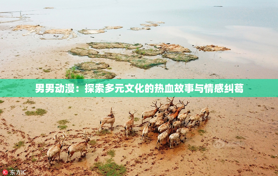 男男动漫：探索多元文化的热血故事与情感纠葛