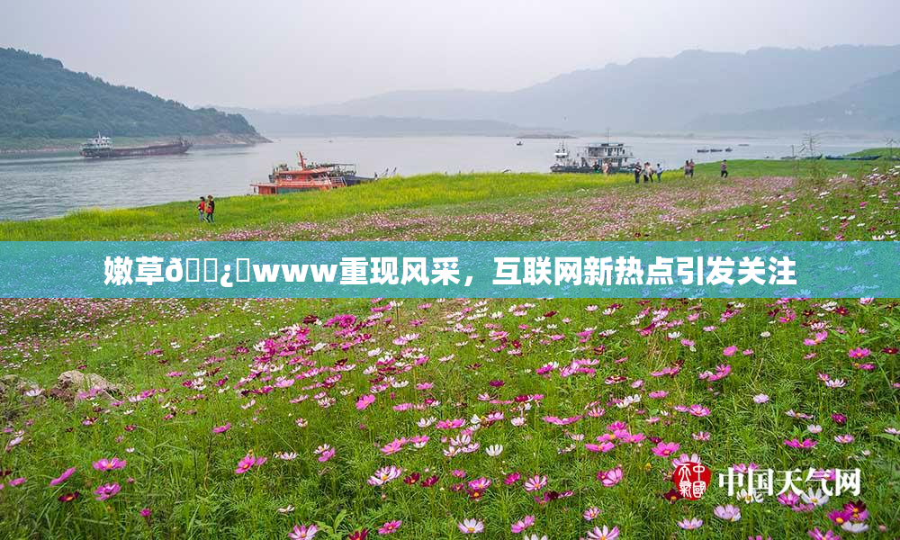 嫩草🌿‌www重现风采，互联网新热点引发关注