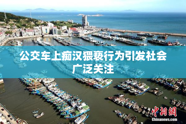 公交车上痴汉猥亵行为引发社会广泛关注