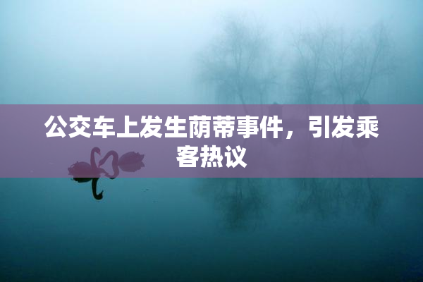 公交车上发生荫蒂事件，引发乘客热议
