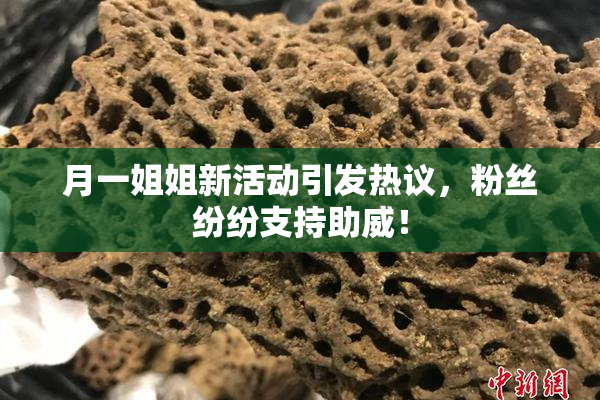 月一姐姐新活动引发热议，粉丝纷纷支持助威！
