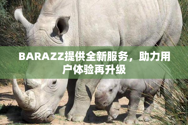 BARAZZ提供全新服务，助力用户体验再升级