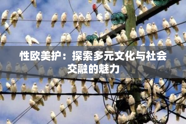 性欧美护：探索多元文化与社会交融的魅力