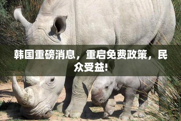 韩国重磅消息，重启免费政策，民众受益!