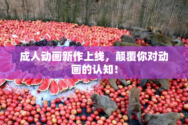 成人动画新作上线，颠覆你对动画的认知！