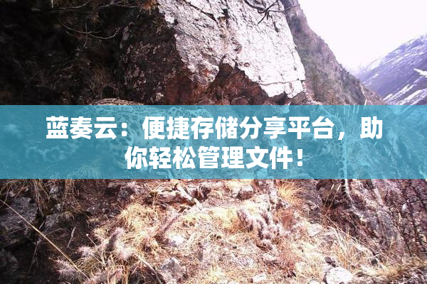 蓝奏云：便捷存储分享平台，助你轻松管理文件！