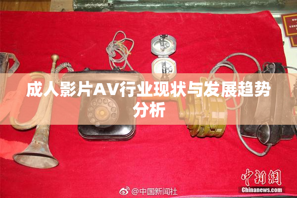 成人影片AV行业现状与发展趋势分析