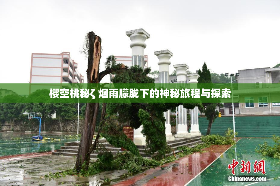 樱空桃秘ζ 烟雨朦胧下的神秘旅程与探索