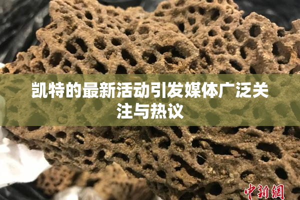 凯特的最新活动引发媒体广泛关注与热议