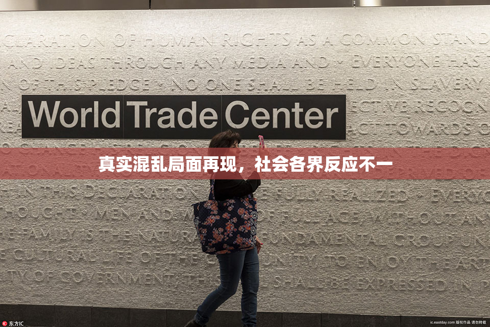 真实混乱局面再现，社会各界反应不一