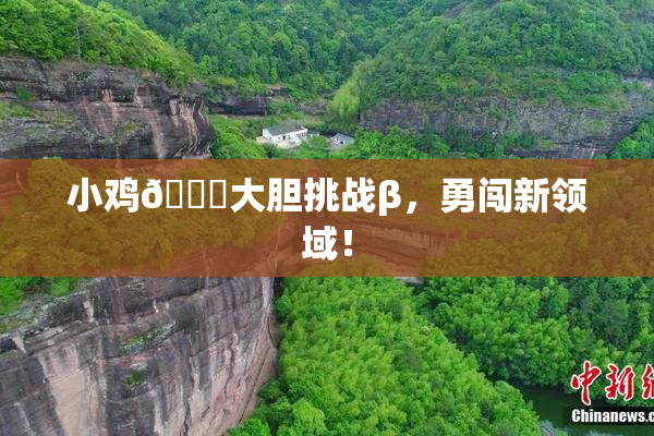 小鸡🐔大胆挑战β，勇闯新领域！
