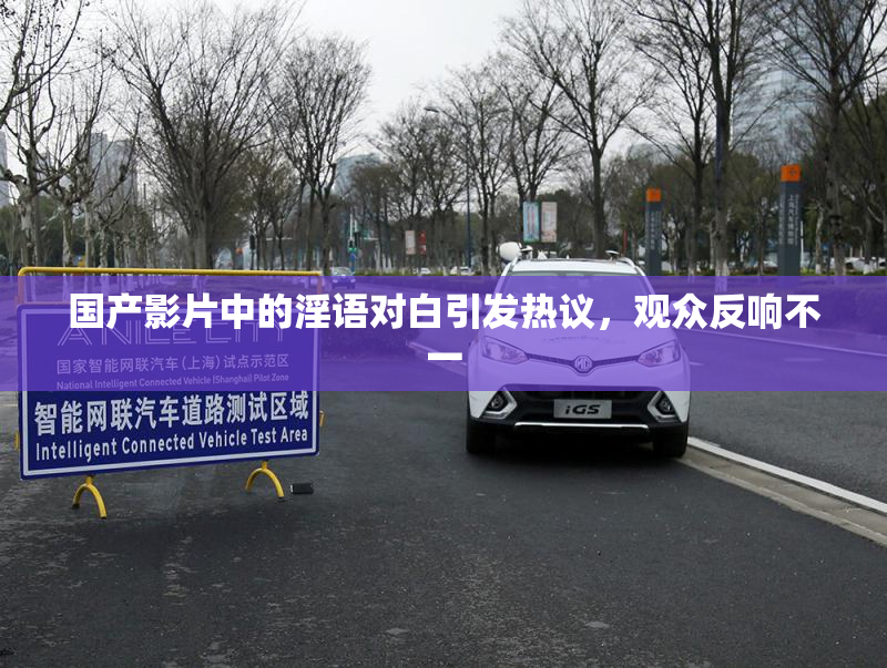 国产影片中的淫语对白引发热议，观众反响不一