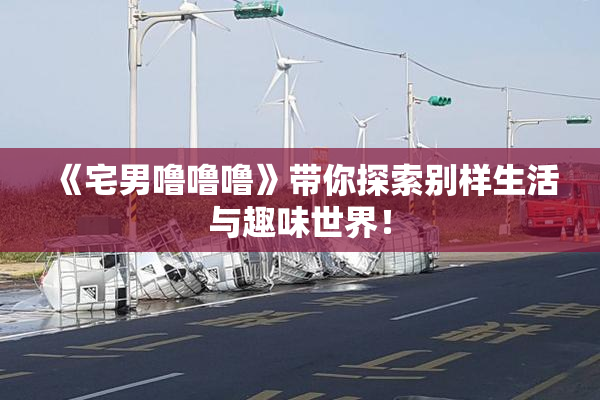 《宅男噜噜噜》带你探索别样生活与趣味世界！