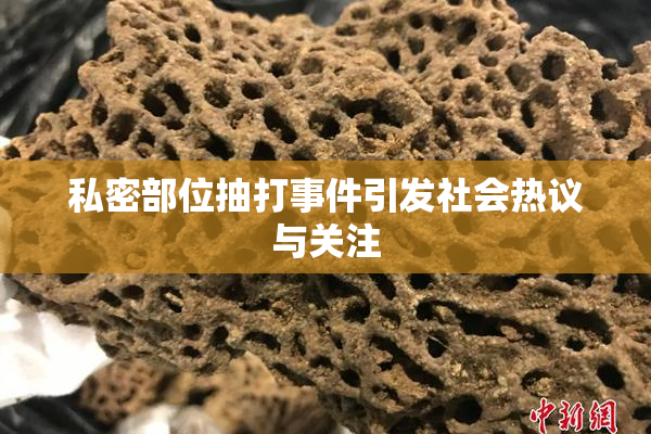 私密部位抽打事件引发社会热议与关注