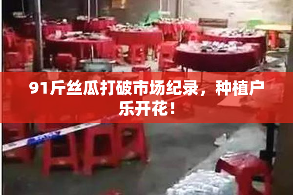 91斤丝瓜打破市场纪录，种植户乐开花！
