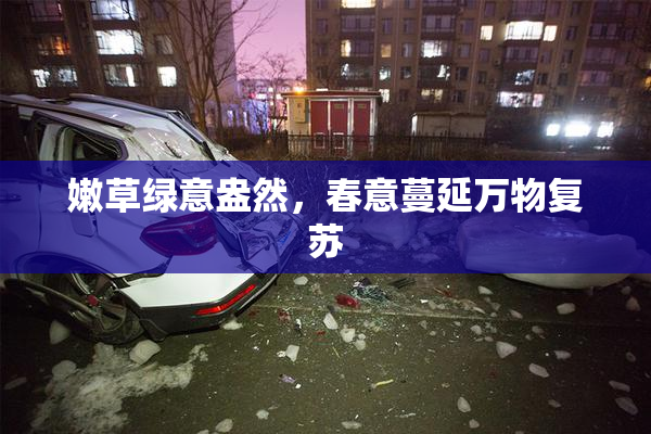 嫩草绿意盎然，春意蔓延万物复苏