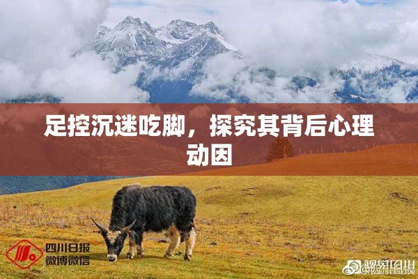 足控沉迷吃脚，探究其背后心理动因