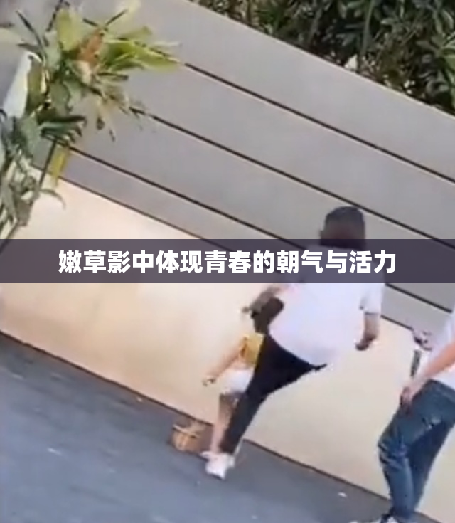 嫩草影中体现青春的朝气与活力