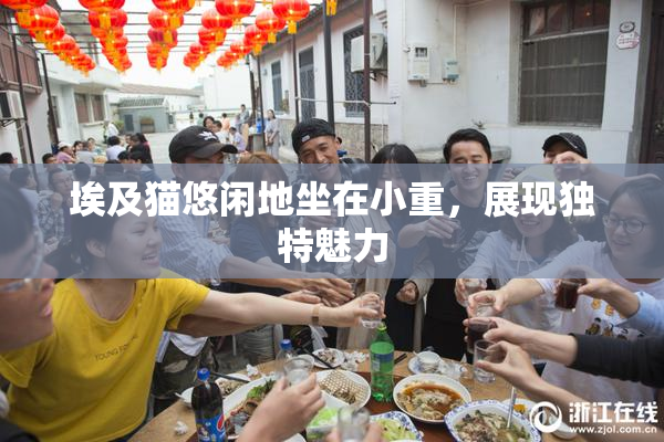 埃及猫悠闲地坐在小重，展现独特魅力