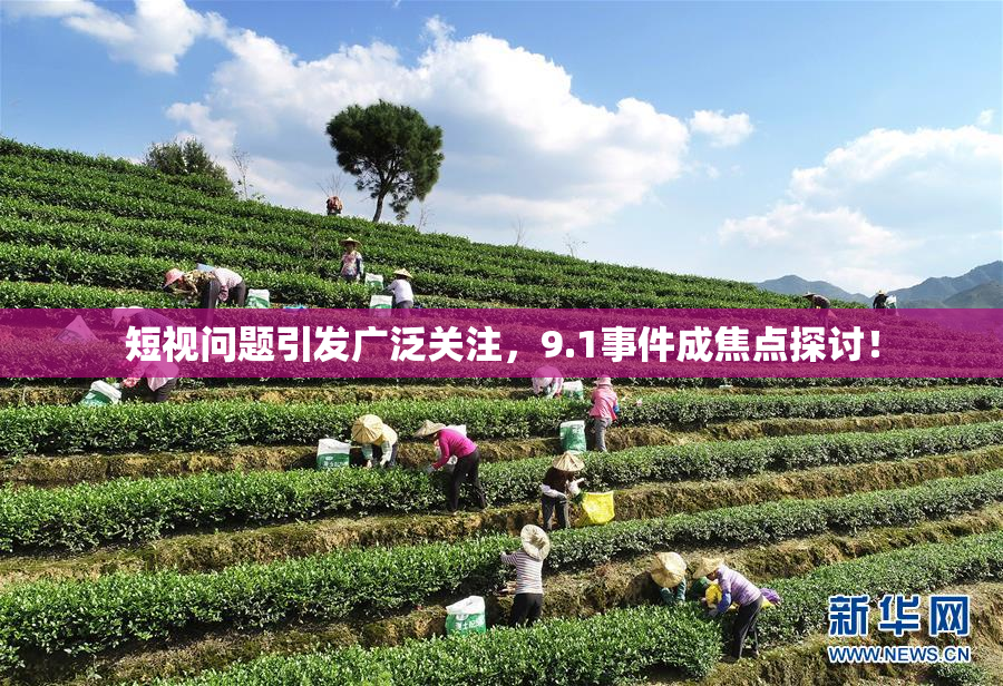 短视问题引发广泛关注，9.1事件成焦点探讨！