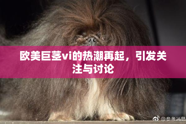 欧美巨茎vi的热潮再起，引发关注与讨论