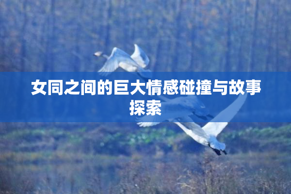 女同之间的巨大情感碰撞与故事探索