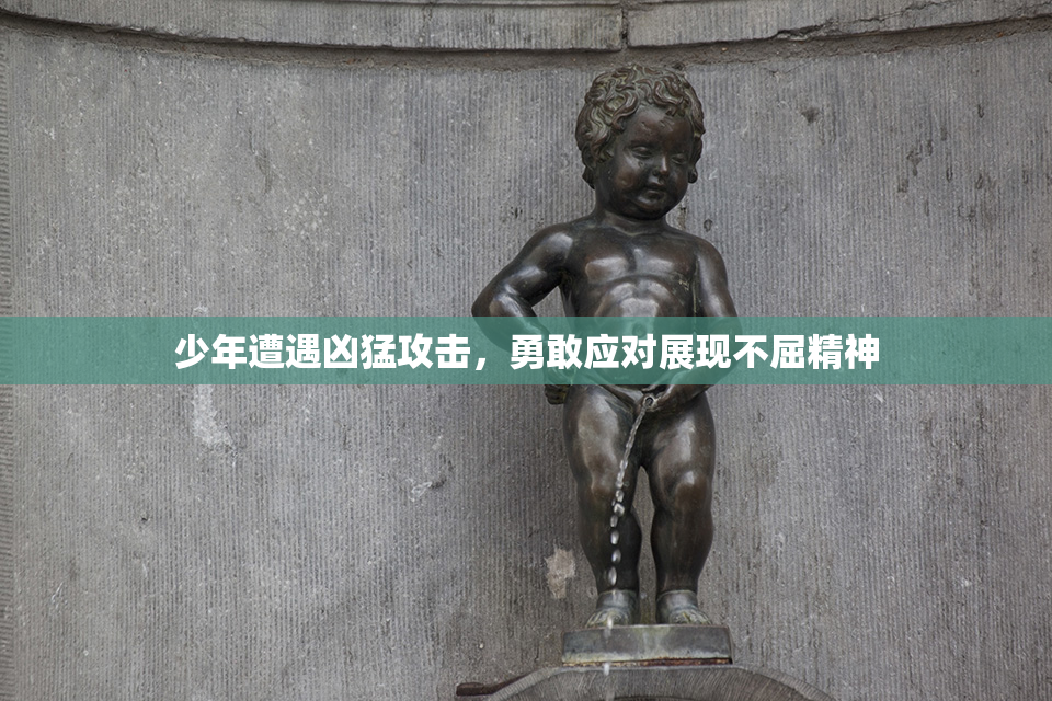 少年遭遇凶猛攻击，勇敢应对展现不屈精神