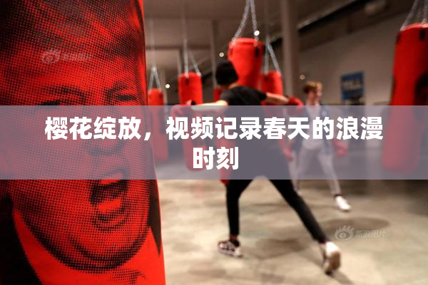 樱花绽放，视频记录春天的浪漫时刻