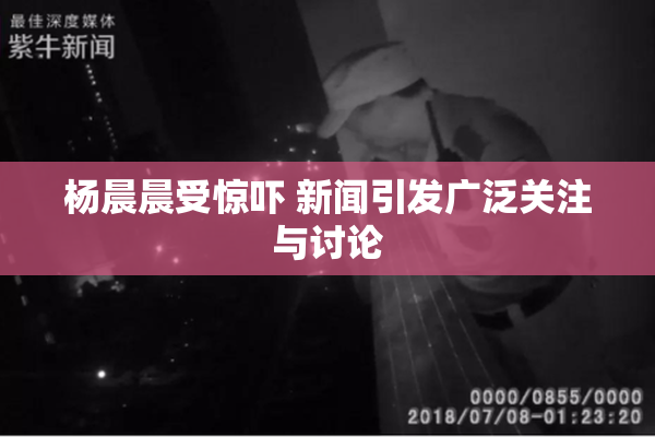 杨晨晨受惊吓 新闻引发广泛关注与讨论