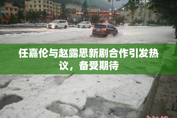 任嘉伦与赵露思新剧合作引发热议，备受期待