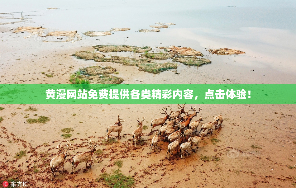 黄漫网站免费提供各类精彩内容，点击体验！