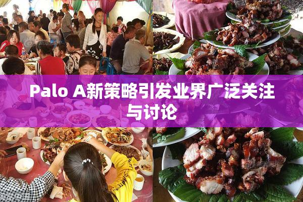 Palo A新策略引发业界广泛关注与讨论