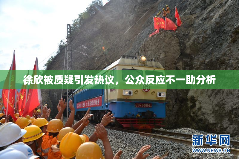 徐欣被质疑引发热议，公众反应不一助分析