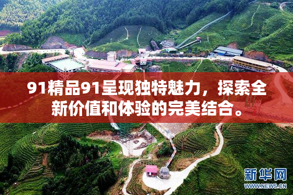 91精品91呈现独特魅力，探索全新价值和体验的完美结合。