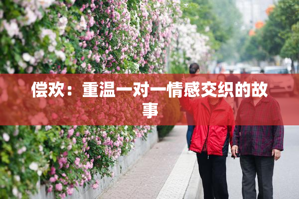 偿欢：重温一对一情感交织的故事