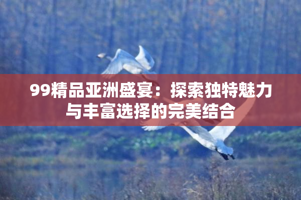 99精品亚洲盛宴：探索独特魅力与丰富选择的完美结合