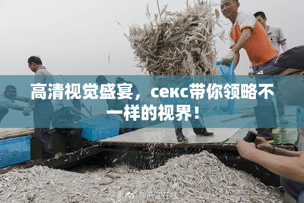 高清视觉盛宴，ceкс带你领略不一样的视界！