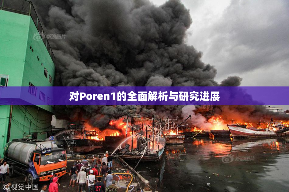 对Poren1的全面解析与研究进展