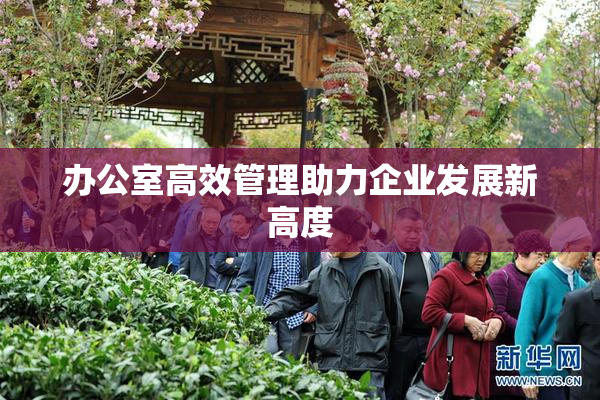 办公室高效管理助力企业发展新高度