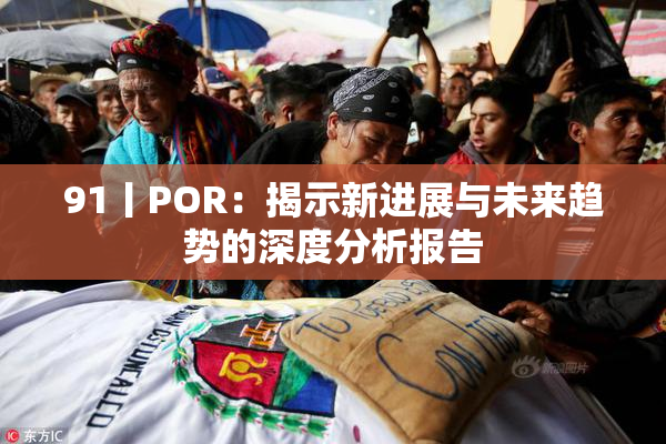 91丨POR：揭示新进展与未来趋势的深度分析报告